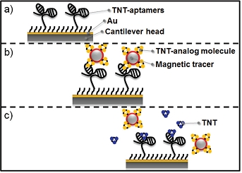 High-Sensitivity Detector for Molecular Sensing using Magnetic Particles