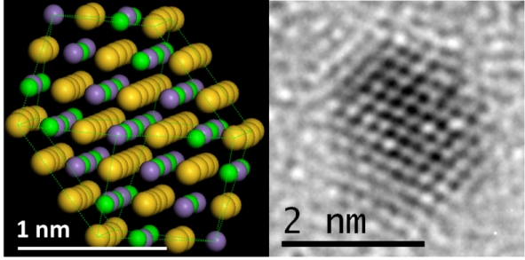 Theoretical and Experimental Characterization of Structures of MnAu Nanoclusters