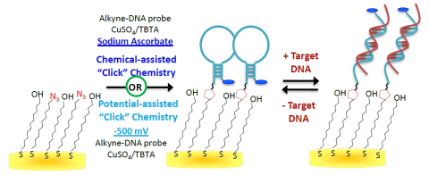 Electronic DNA Detection via Magnetic Nanoparticles Preconcentration